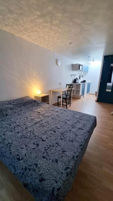 Studio En Rez De Jardin Avec Terrasse Privee - Le Petit Chateau Avesnois - Tv - Wifi - Logement Complet Avesnes-sur-Helpe Exterior photo